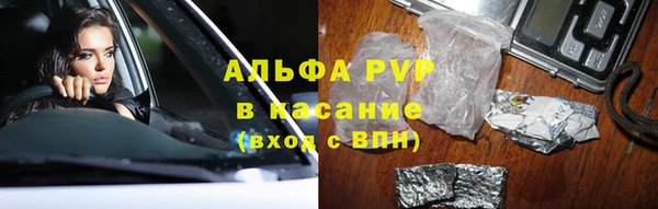 прущие грибы Арсеньев