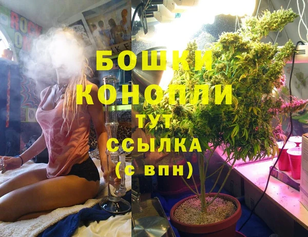 прущие грибы Арсеньев