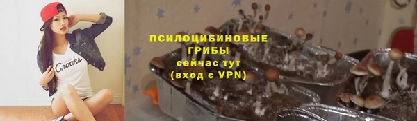 мет Аркадак