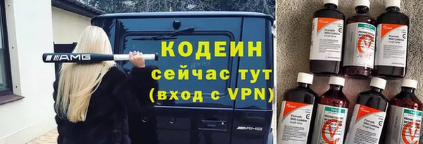 прущие грибы Арсеньев