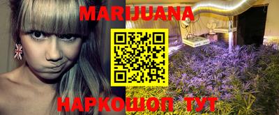 трава Камышлов