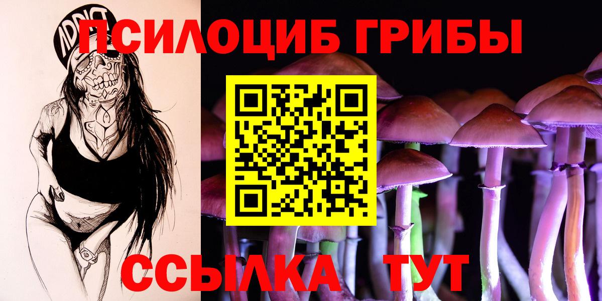Галлюциногенные грибы Cubensis  Галлюциногенные грибы GOLDEN TEACHER  Балабаново  Вход с VPN 