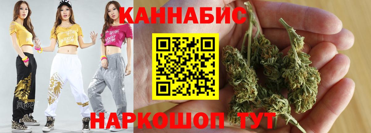 Каннабис план Балабаново